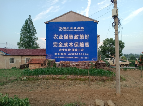  林州墙体广告为何受追捧？